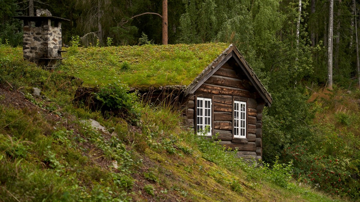 Kuidas luua tasakaalustatud toitumiskava